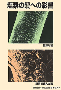塩素を除去