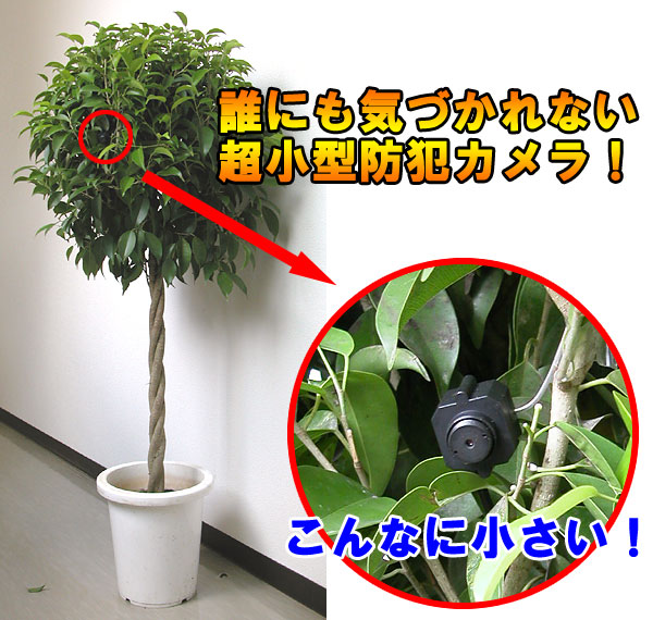無線で送信