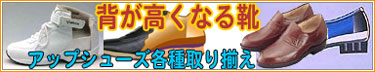 シークレットブーツ